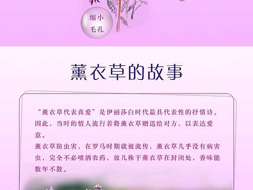 精油详情