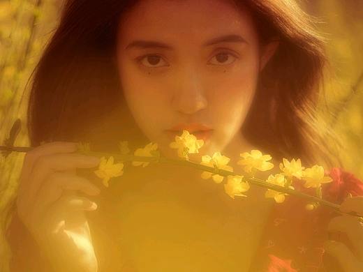 迎春花