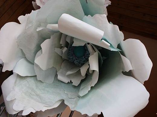 Anthropologie Internship橱窗设计