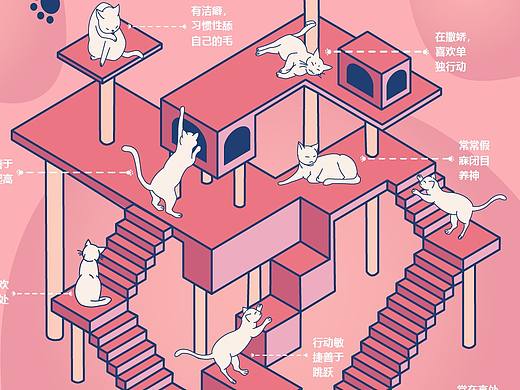 信息图表