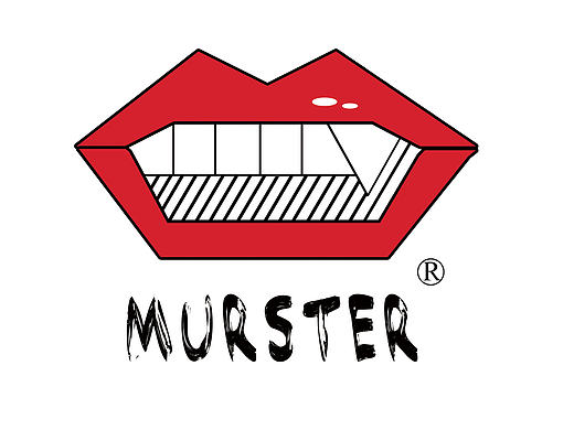 毕设前的VI手册练习