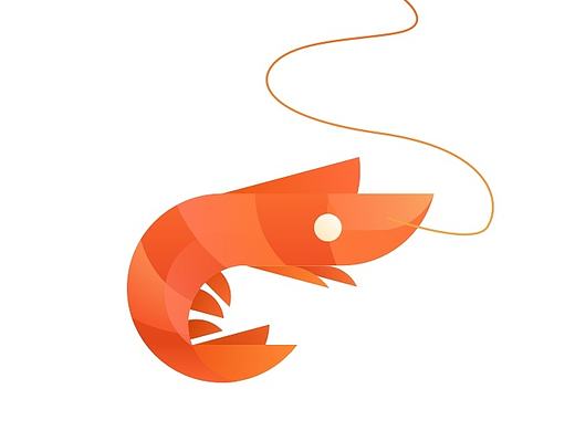 用黄金分割线画大虾