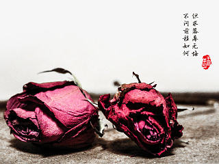 【凋謝】（個人主頁-ZNzA5NDc2MA==） - 產(chǎn)品攝影 - 站酷設(shè)計師王簡單原創(chuàng)素材 - 站酷ZCOOL