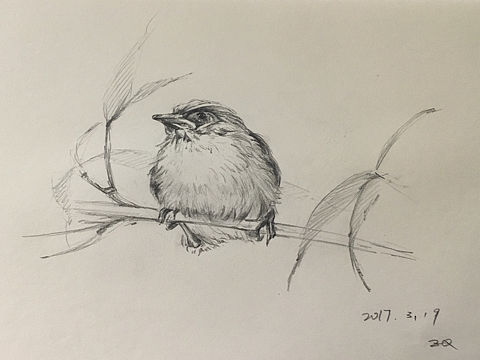 水彩（個(gè)人主頁(yè)-ZMjEwMTU3OTI=） - 創(chuàng)作習(xí)作 - 站酷設(shè)計(jì)師米恩和我原創(chuàng)素材 - 站酷ZCOOL