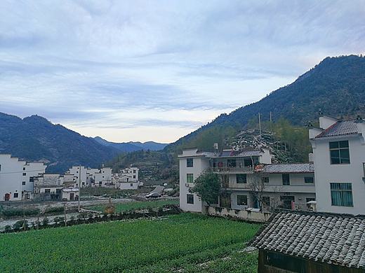 《有雪的早晨》