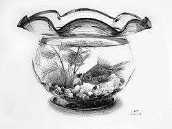 OY钢笔画：鱼.缸