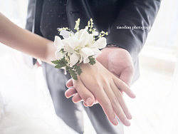 在最美的年华遇见你