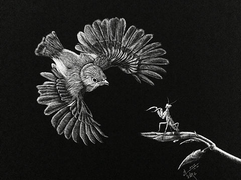 刮画《亮剑》