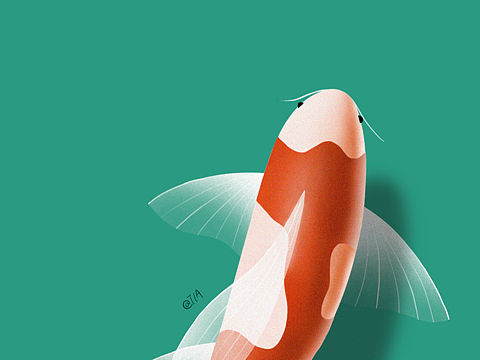临摹 插画师Gal Shir 锦鲤