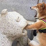 突破鄙人的头像