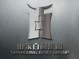 山东百利集团