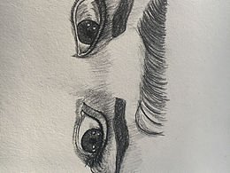 這學期的作業(yè)