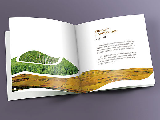 正觉粮油画册设计