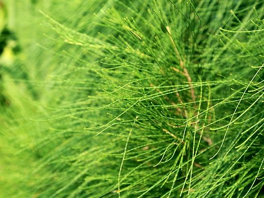 随拍（个人主页-ZMTMzMjE0MTY=） - 其他摄影 - 站酷设计师尹小刀的故事原创素材 - 站酷ZCOOL