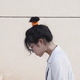 白白不在的头像