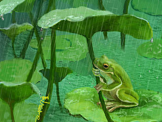 小青蛙（個人主頁-ZNzYxNzYwMA==） - 創(chuàng)作習(xí)作 - 站酷設(shè)計師為你南征北戰(zhàn)原創(chuàng)素材 - 站酷ZCOOL