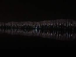 只看到一顆胡蘿卜為啥沒有兔子