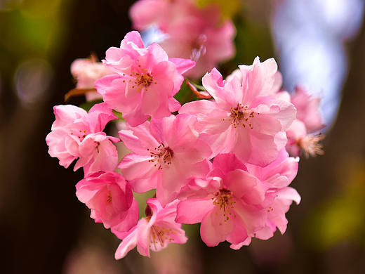 春（个人主页-ZMzQwOTg2MzY=） - 产品摄影 - 站酷设计师风语战士李昆原创素材 - 站酷ZCOOL