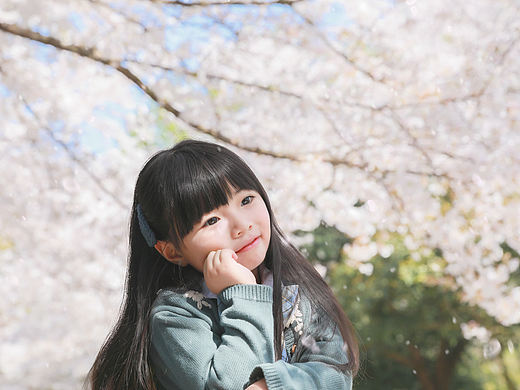 🌸春樱🌸