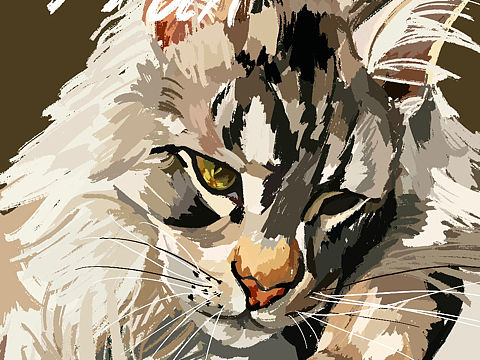 猫猫和狗狗一定是世界上最可爱的毛孩子吧