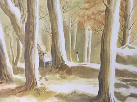 《树深时见鹿》