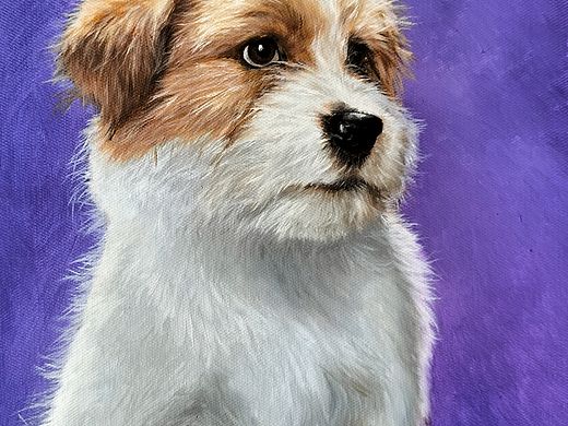 宠物画家刘诗洋——小可爱一枚