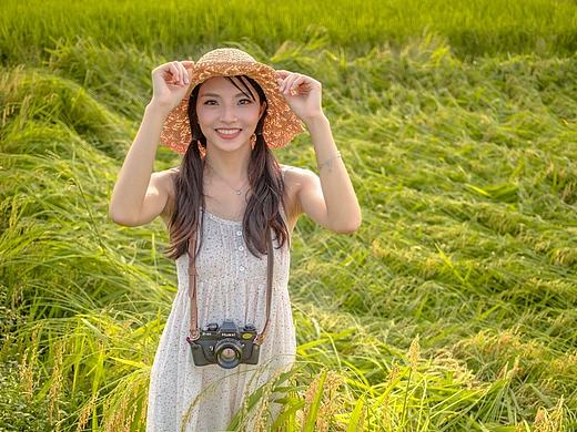 山水边界,秋收的稻田