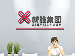 武汉赤火设计 新雅集团VI设计2套