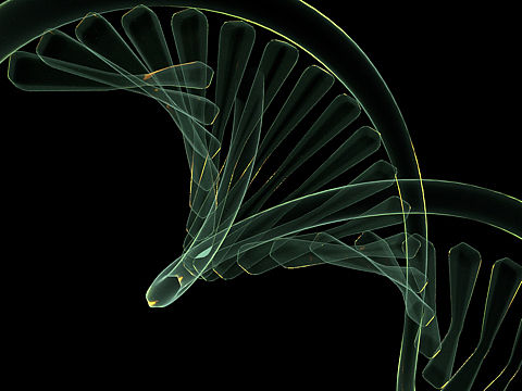 计算机图形创作 作业小结