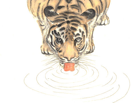 白描-水墨-老虎-6-10（个人主页-ZMzExMzQ3MDA=） - 商业插画 - 站酷设计师文几工作室原创素材 - 站酷ZCOOL