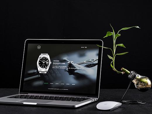 品牌站（個人主頁-ZMTk1NTUwMDg=） - 其他UI - 站酷設(shè)計(jì)師無頭魚hs原創(chuàng)素材 - 站酷ZCOOL