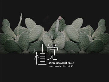 文娱类APP—植物花卉APP设计