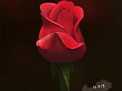 玫瑰（个人主页-ZMjg4ODAzNg==） - 创作习作 - 站酷设计师豆芽喝水去原创素材 - 站酷ZCOOL