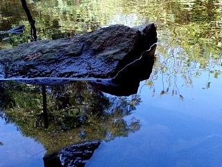 可爱的太湖（一）（个人主页-ZNzMyNzIwNA==） - 风光摄影 - 站酷设计师向日葵的阳光原创素材 - 站酷ZCOOL