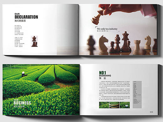 茶营销公司画册