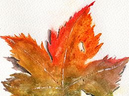 水彩——顏色線條的搭配