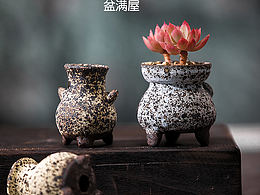 产品摄影，盆满屋小花盆