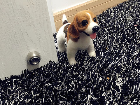 我的小羊毛毡小可爱们！