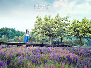 好像是环境人像