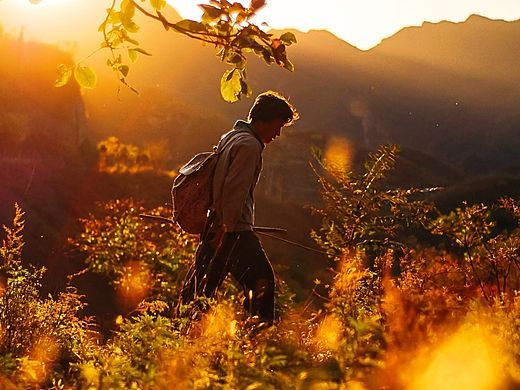 秋天真美，我也想出去走一走。