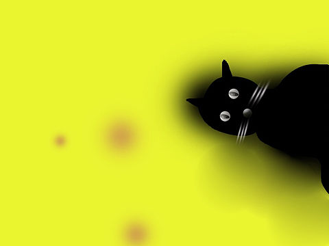 偷不明白的别人家的猫
