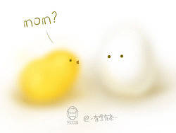 节日