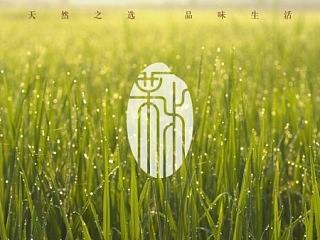 食品类 标志设计 logo设计