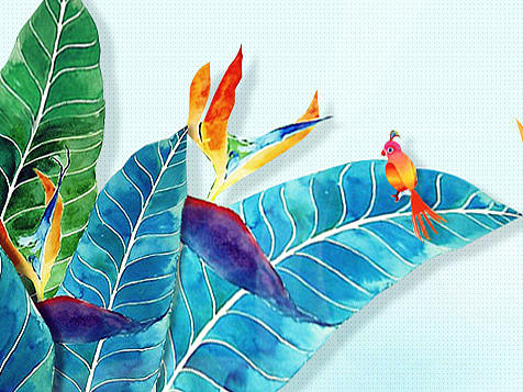 春季海报、小清新、酒类、葡萄酒、盒子