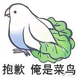 用戶頭像