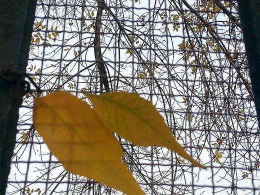 摄影（个人主页-ZNDA3MjY5NjQ=） - 风光摄影 - 站酷设计师沫瑶宝贝吖原创素材 - 站酷ZCOOL