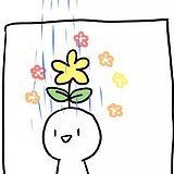 荔枝超的头像