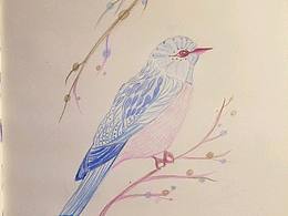 插画彩铅临摹