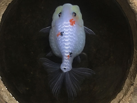 树脂画与古老石雕容器的结合