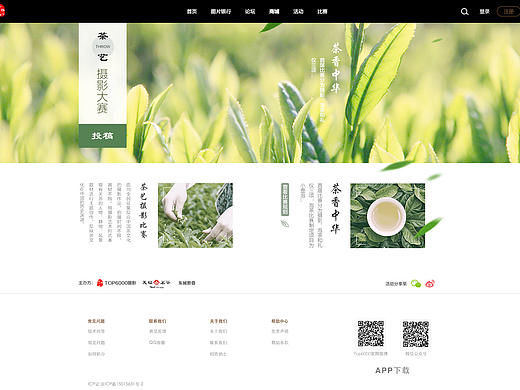 茶网页设计
